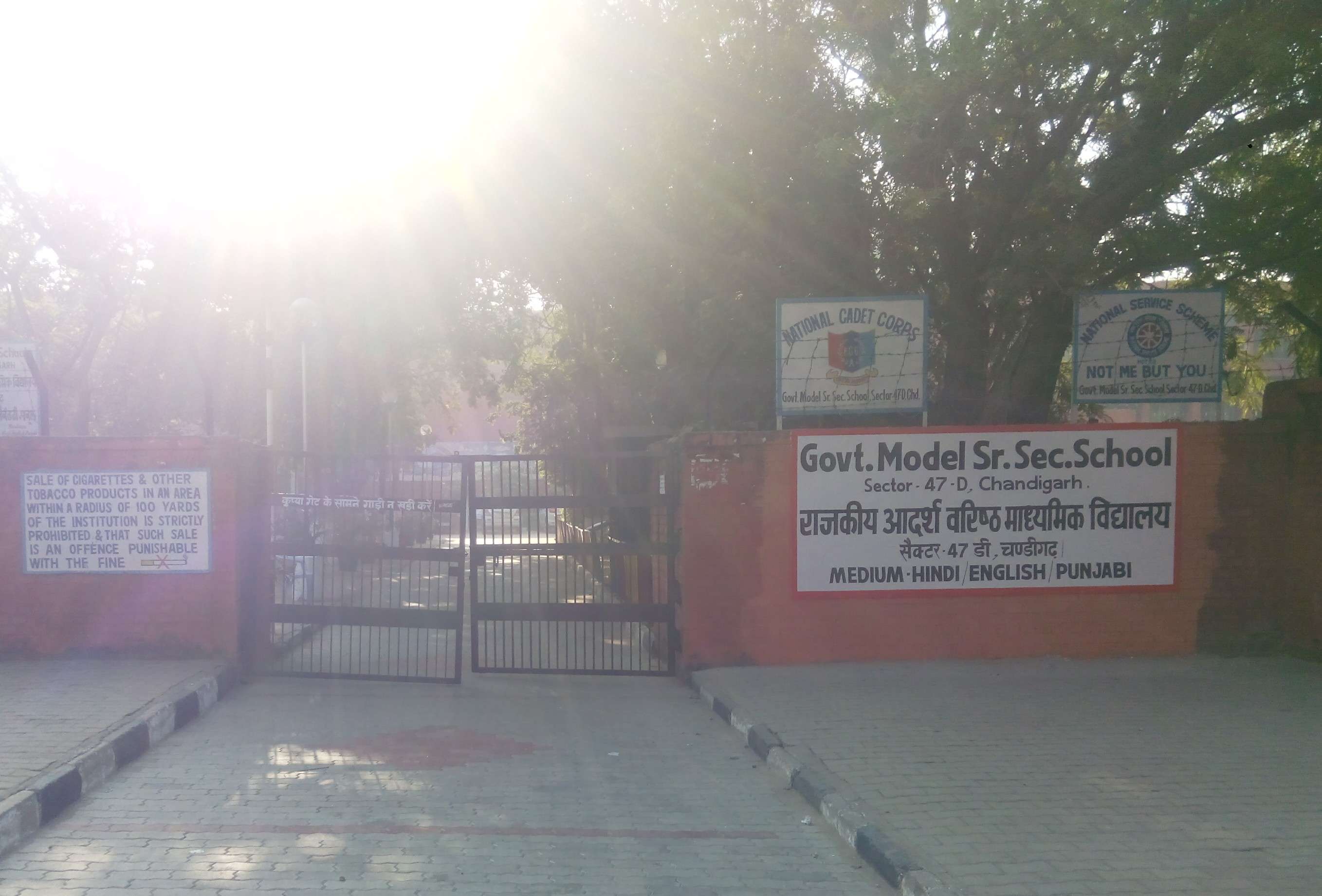 GOVT MODEL SR SEC SCHOOL SECTOR 47 D CHANDIGARH 2620043