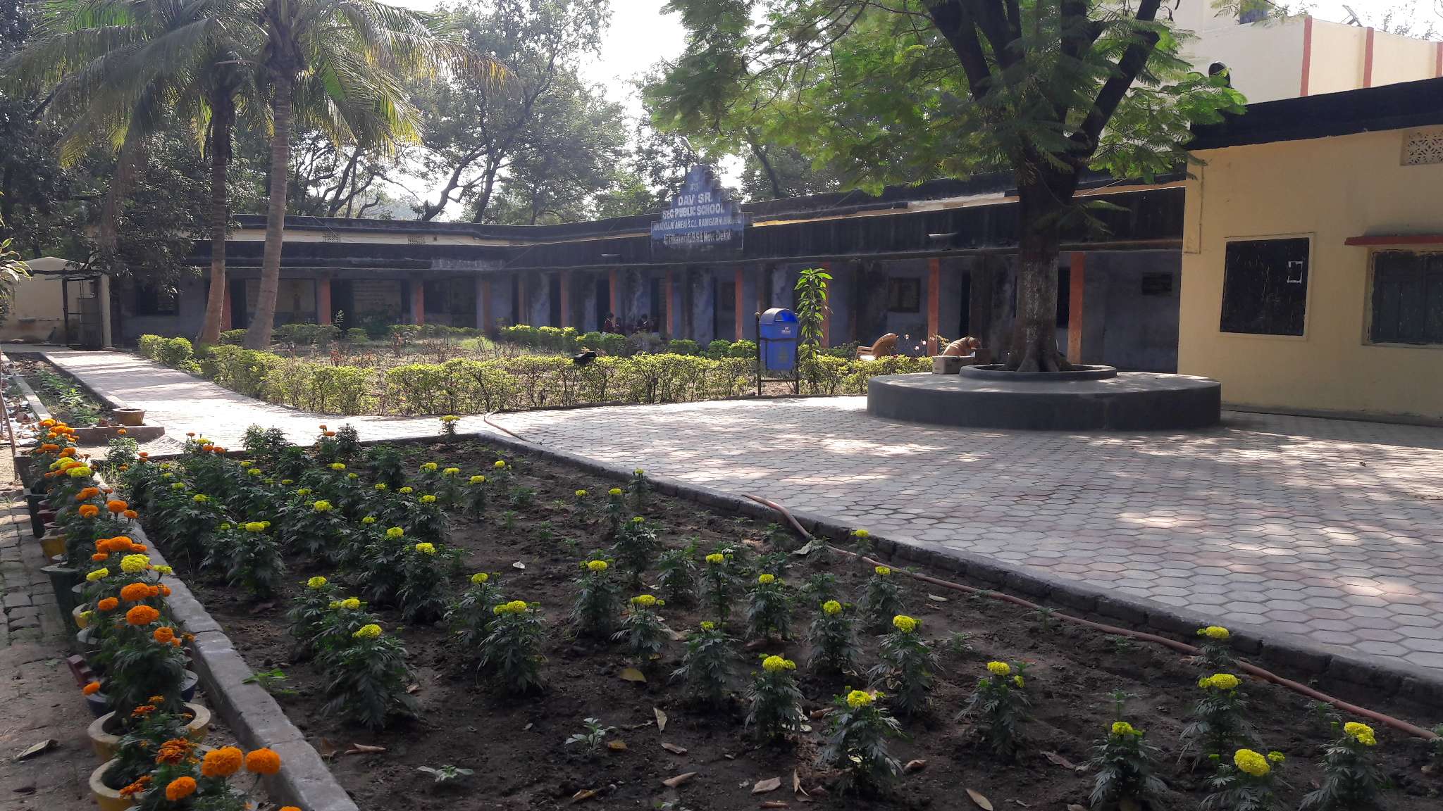D A V PUBLIC SCHOOL ARA KUJU AREA P O SARUBERA HAZARIBAGH DISTT JHARKHAND 3430030