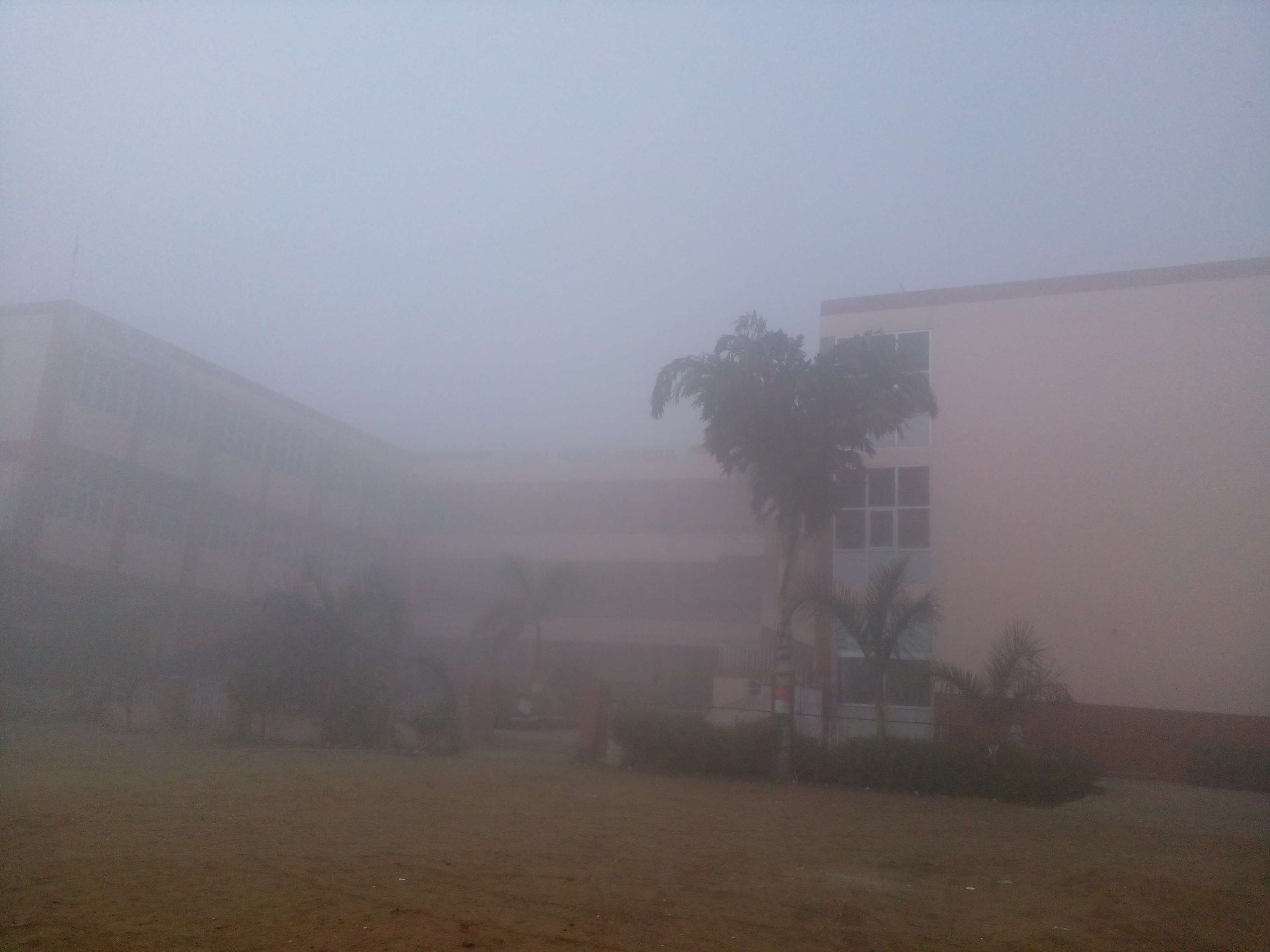 DAV PUBLIC SCHOOL SALWAN ROAD ASSANDH DISTT KARNAL HARYANA 530468