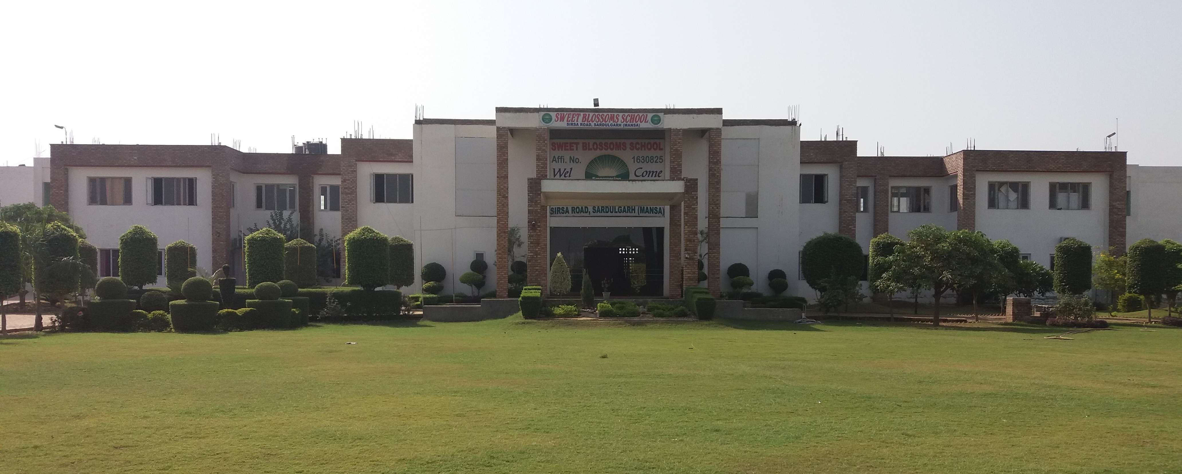 Sweet Blossoms School Mansa Punjab The Learning Point