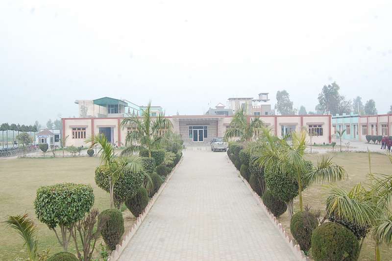 D M PUBLIC SENIOR SECONDARY SCHOOL KARAR WALA BATHINDA BHATINDA PUNJAB 1630965