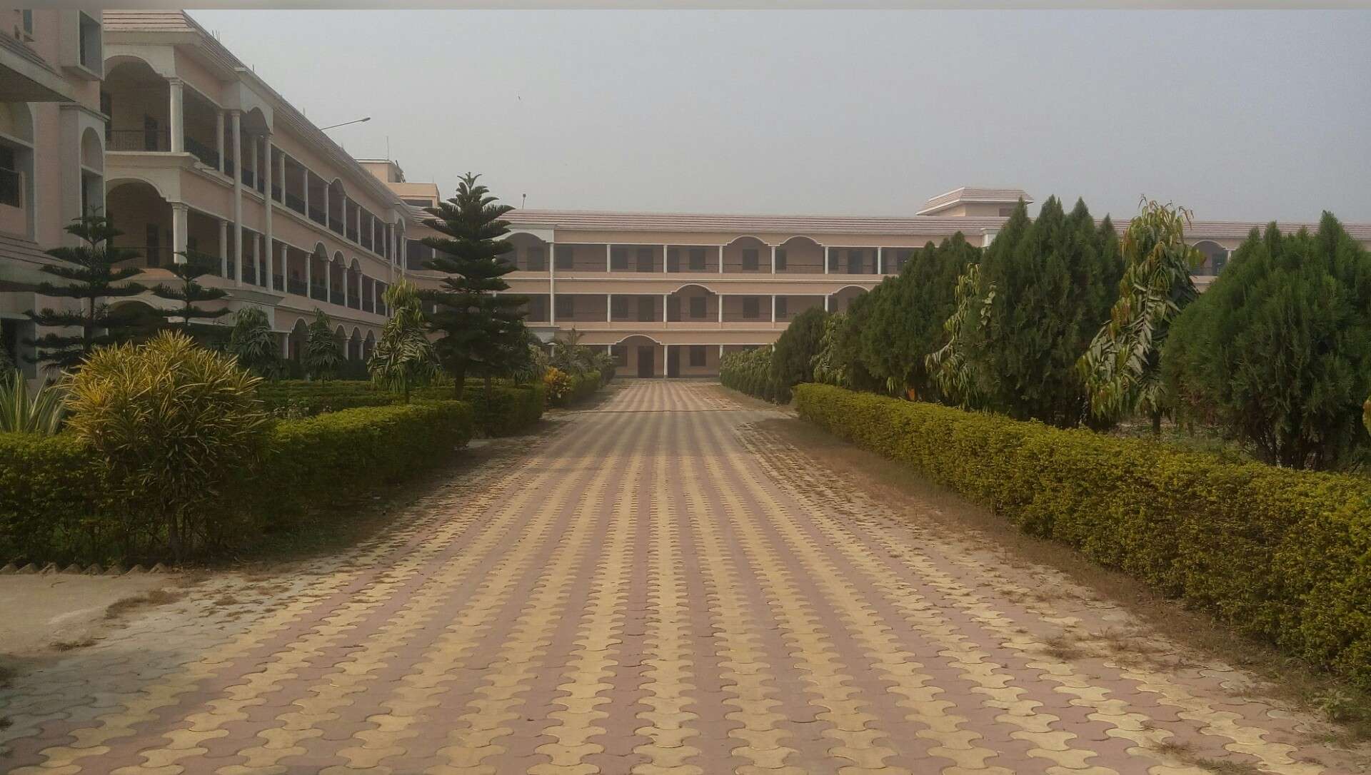 S B P VIDYA VIHAR Sirsa Katihar 330249