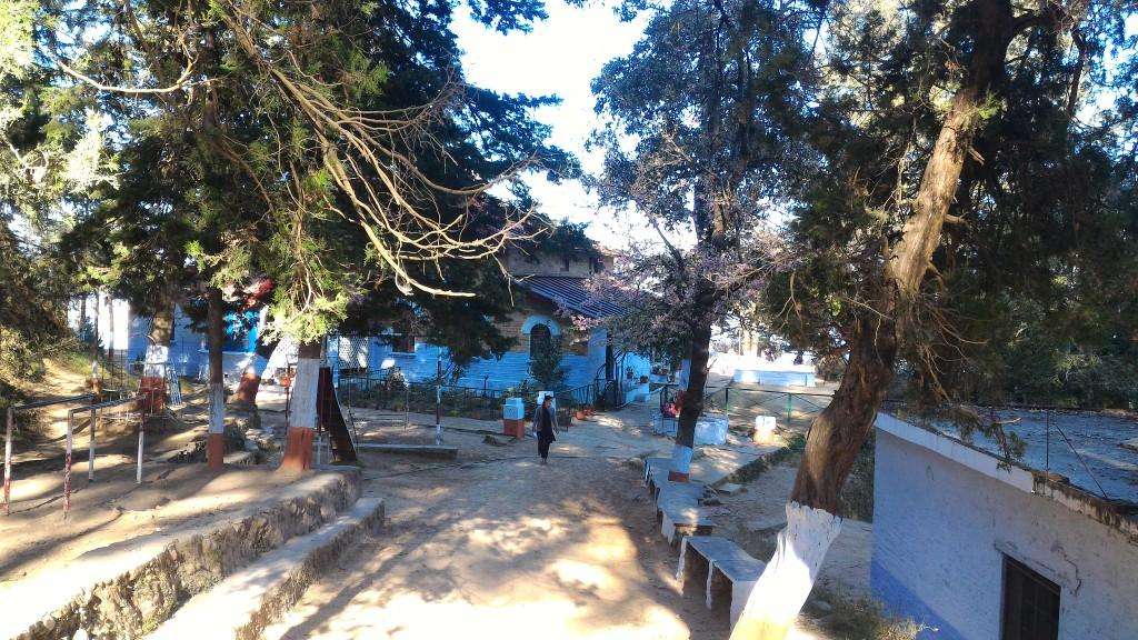 SPRING DALES SCHOOL ALMORA CANTT DISTT ALMORA UTTARANCHAL 3530151