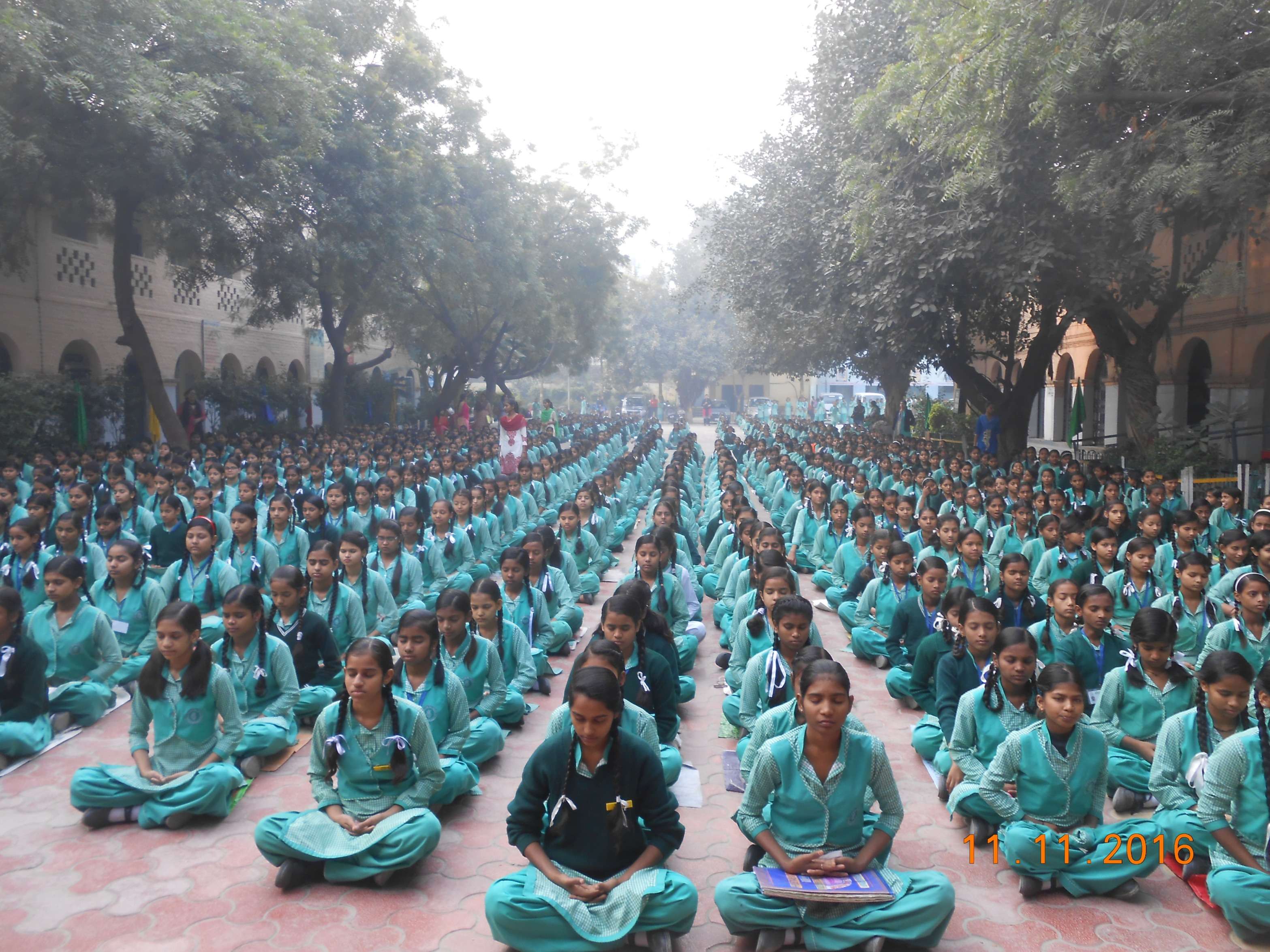 GOVT GIRLS SR SEC SCHOOL NO 3 NAJAFGARH NEW DELHI 2766078